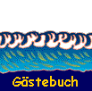  Einfach irgendwas reinschreiben 